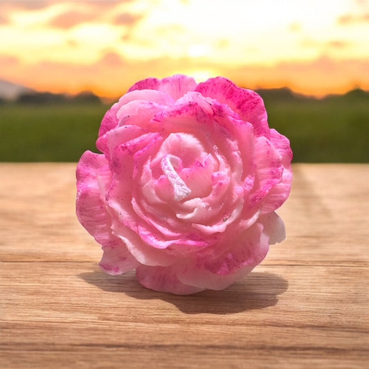 Bougie dégradé Rose
